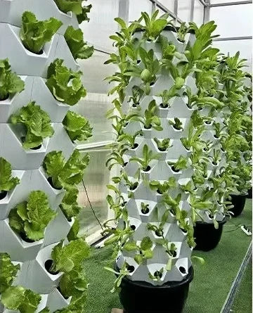 Aeroponic Pineapple Tower With LED Grow Lights