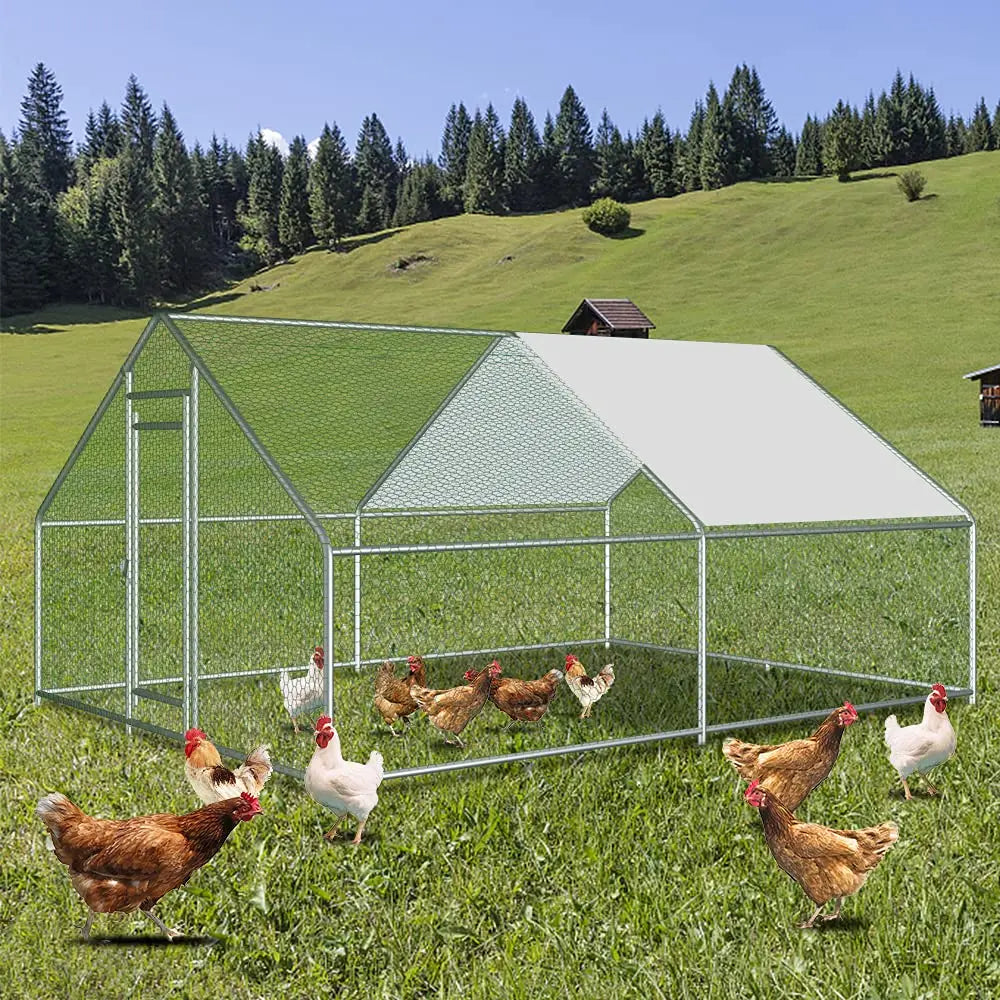 Large Metal 3x4M Chicken Run