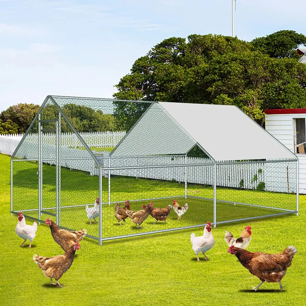 Large Metal 3x4M Chicken Run