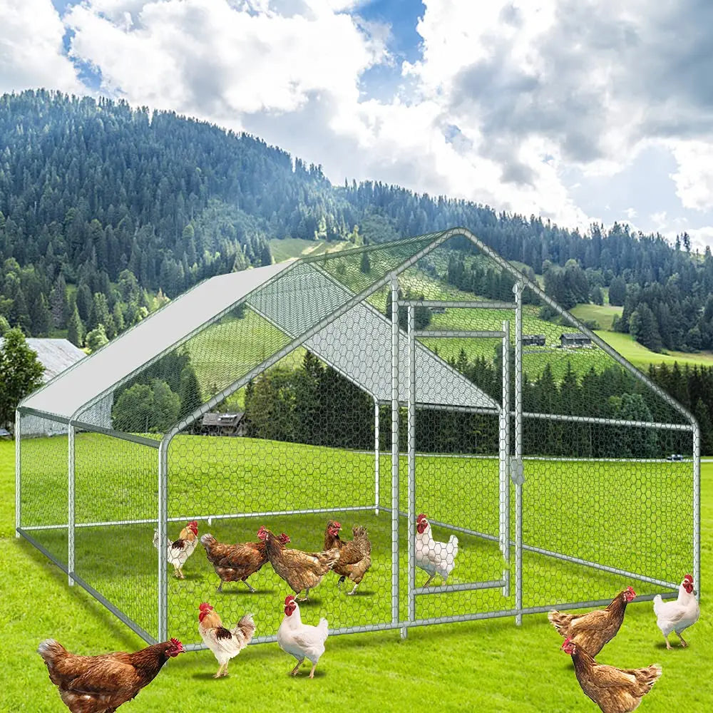 Large Metal 3x4M Chicken Run